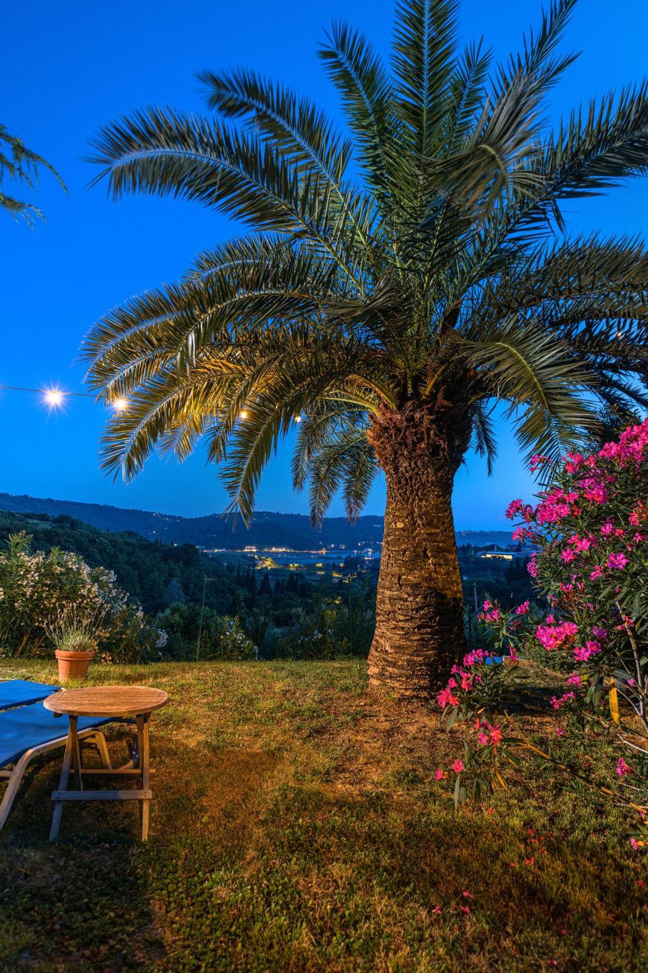 House Olive Garden Strunjan Apartment Exterior foto
